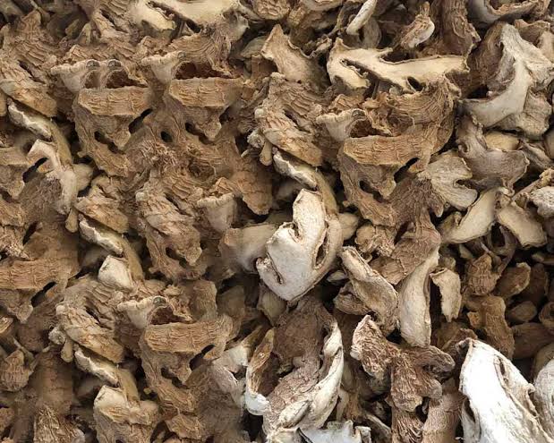 Dried split ginger for Export 4