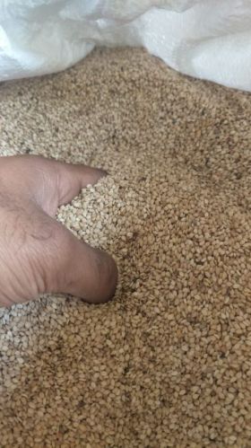 White sesame seeds export 3